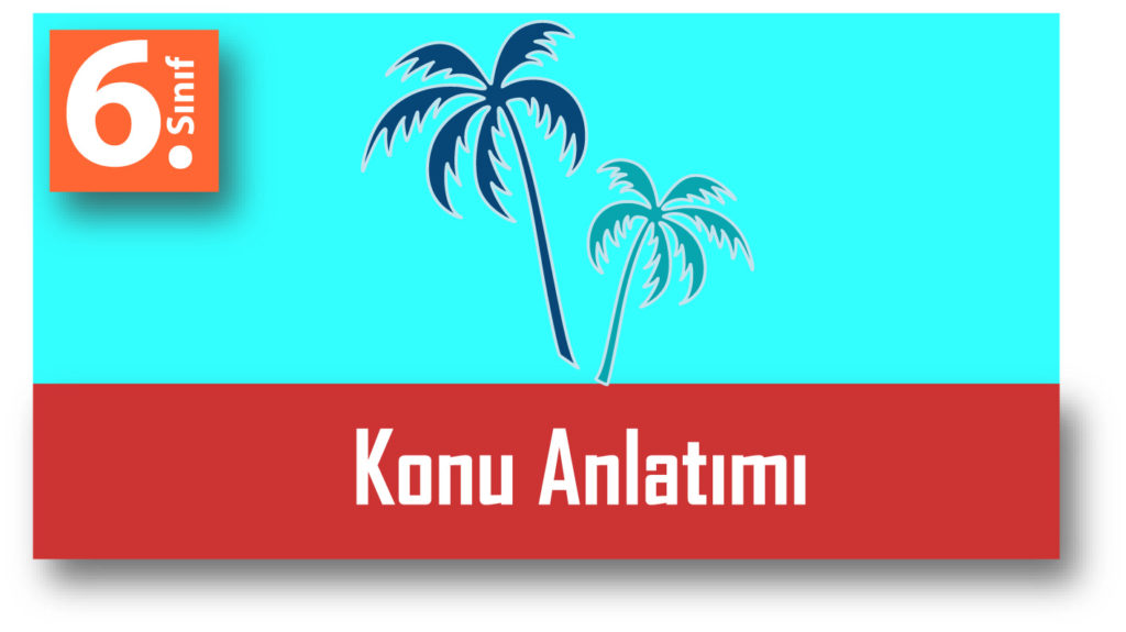 6.Sınıf Matematik Konu Anlatımı