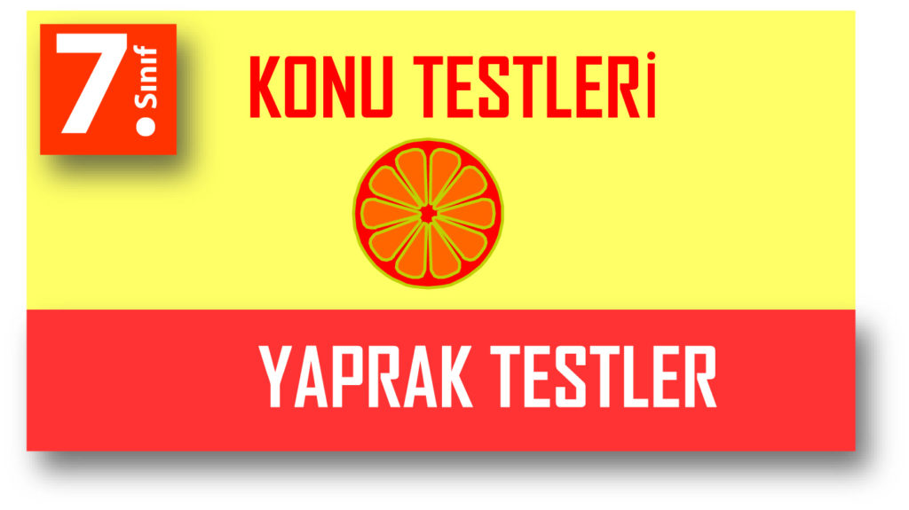 7.Sınıf Matematik Yaprak Testi indir