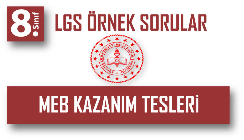 8.Sınıf MEB LGS Örnek Sorular