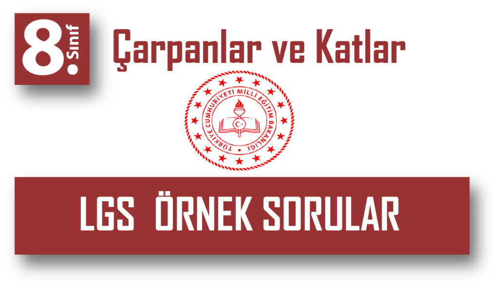 LGS MEB örnek soruları ve çözümleri