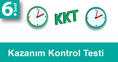 6.Sınıf Matematik Kazanım Kontrol Testleri