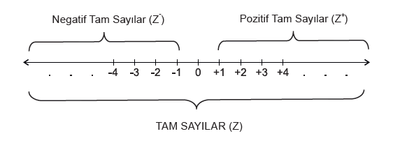 6 sinif tam sayilar ve sayi dogrusu konu anlatimi matematikci web tr