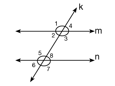 7.Sınıf İki Paralel Doğruyla Bir Kesenin Oluşturduğu Açılar Konu Anlatımı